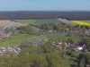 Ellringen_2014_1